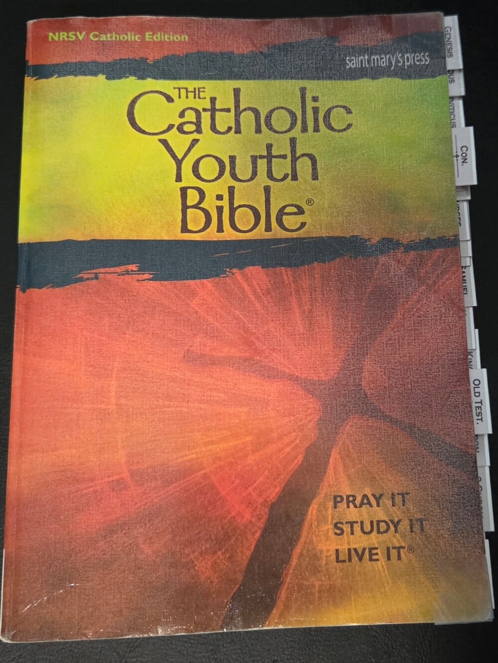 The Catholic Youth Bible - Multi-Color Edition